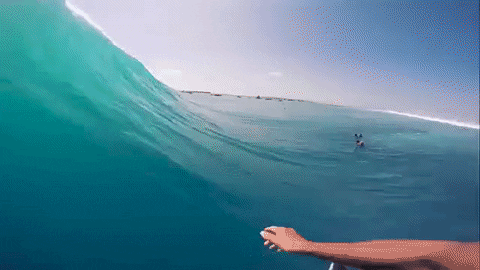 Surfing Gifs Get The Best Gif On Giphy