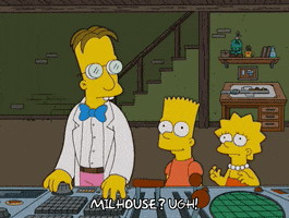 200.gif?cid=fc005b085bdef7f4928ad4ae45c58d4153c292edb8ae6c49&rid=200.gif&ct=g