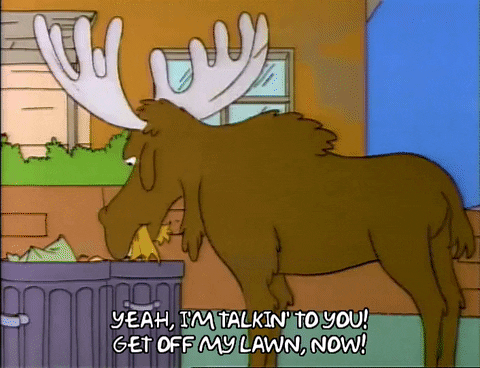 Season 4 Moose GIF by The Simpsons - Find & Share on GIPHY