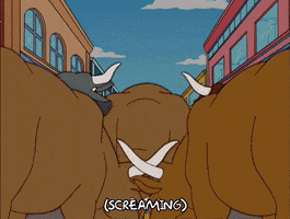 Episode 16 Bulls GIF by The Simpsons