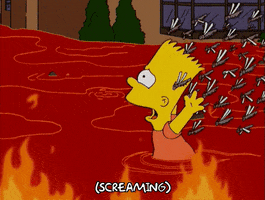 200.gif?cid=fc005b08189f5945076acb68f9ebdef5dac015e15687779b&rid=200.gif&ct=g