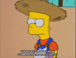200.gif?cid=fc005b0843a2c3ea2e108721d48c918d6a1b5906867f431f&rid=200.gif&ct=g