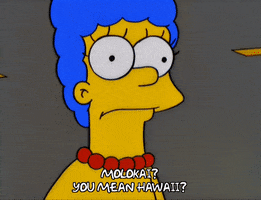 200.gif?cid=fc005b0878b0650a972dfede981a65e1b40962d005fcb241&rid=200.gif&ct=g