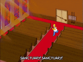 200.gif?cid=fc005b08ebbb294b5990682c4d03d0826b0a10692fed81df&rid=200.gif&ct=g