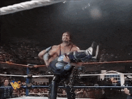 Shawn Michaels 90S GIF