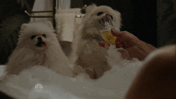 Best Friends Dogs GIF by The Blacklist