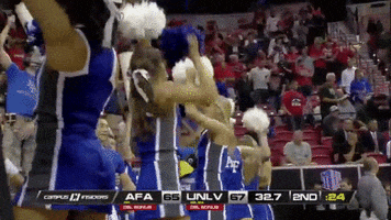 excited air force GIF by Air Force Athletics