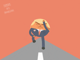 Donald Trump GIF by thisismrmalik