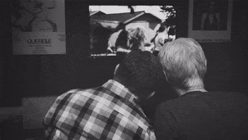 shawnvandaele the birds GIF