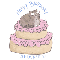Meme Lady Yelling At Cat Cartoon Happy Birthday Edible Cake Topper Ima – A  Birthday Place | lupon.gov.ph