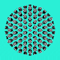 200.gif?cid=fc005b08bd7d56fe3367af8fbfea6bbbacea0bfad41f2435&rid=200.gif&ct=g