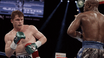 floyd mayweather punch GIF by SHOWTIME Sports