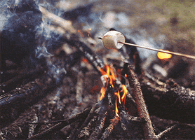 posesoul fire camp marshmallow GIF