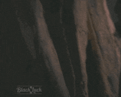 horror hello GIF by Black Luck
