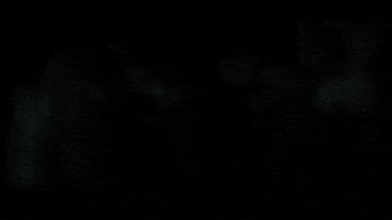 katanization art animation fox x GIF