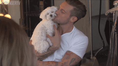 Nico Tortorella Dog GIF by YoungerTV - Find & Share on GIPHY