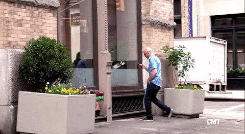 Walk Into A Window Gif By The Ed Bassmaster Show Find Share On Giphy