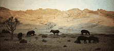 gifodyssey gifodyssey GIF