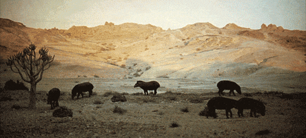 gifodyssey gifodyssey GIF