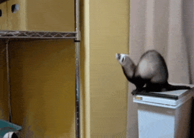 Giphy - Wait For It GIF by April Fools