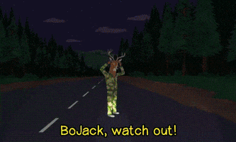 driving car accident GIF by BoJack Horseman
