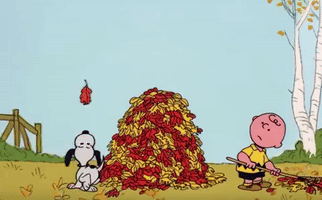Charlie Brown Fall GIF by Halloween