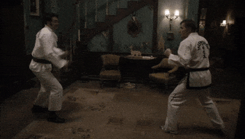 Martial Arts Karate GIF by What We Do In The Shadows