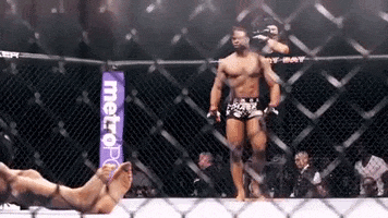 200.gif?cid=fc005b08a22aeb5f6900794c423468c84a9f3e6c2413998a&rid=200.gif&ct=g