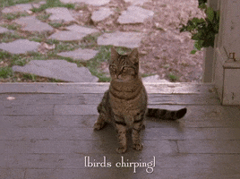 Season 4 Netflix GIF by Gilmore Girls 