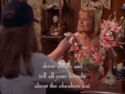 Cheshire's meme gif