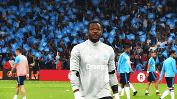 steve om GIF by Olympique de Marseille