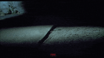 aarondillon  GIF