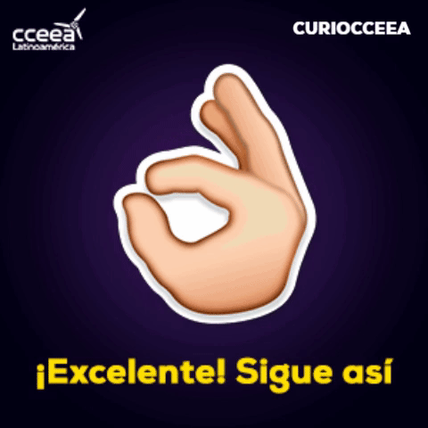 Cceea Curiocceea GIF