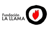 traficovisual la ong el avispero residencias artÃ­sticas macolla creativa GIF