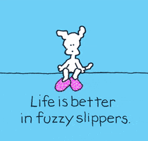 Fuzzy Slippers GIF by Chippy the Dog