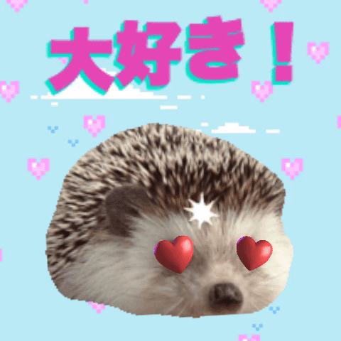 japan hedgehog GIF