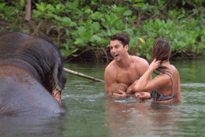 200.gif?cid=fc005b0812dcd616be24a1cd98218c176478138aed04c54a&rid=200.gif&ct=g