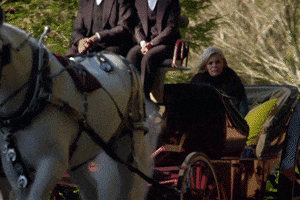200.gif?cid=fc005b0850d8e8a1961af2b79efedbaa25c5e3e859e24e61&rid=200.gif&ct=g