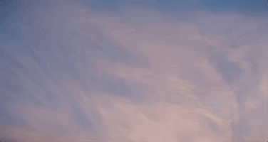 1091 stephen dorff sex guaranteed GIF