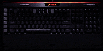 rgb keyboard no GIF by CORSAIR