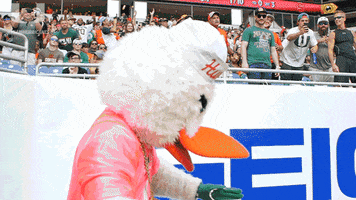 college football dance GIF by Miami Hurricanes
