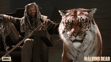khary payton tiger GIF by The Walking Dead