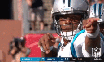 carolina panthers first down GIF by NFL