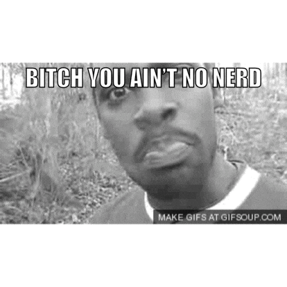 Bitch You AinâT No Nerd GIF