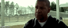 Flight GIF