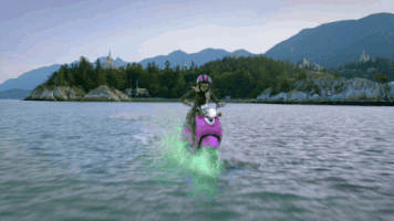 descendants  GIF