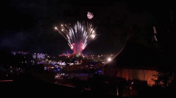much party festival fireworks music festival GIF