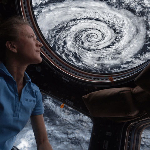 Watching International Space Station GIF by Feliks Tomasz Konczakowski