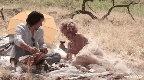 behind the scenes wine GIF by P!NK
