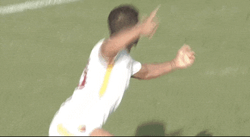 roma football soccer what wtf GIF